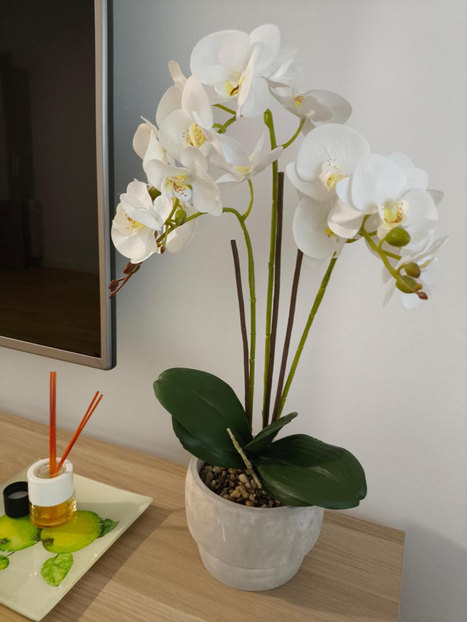 La Vaguada Appartement Zamora